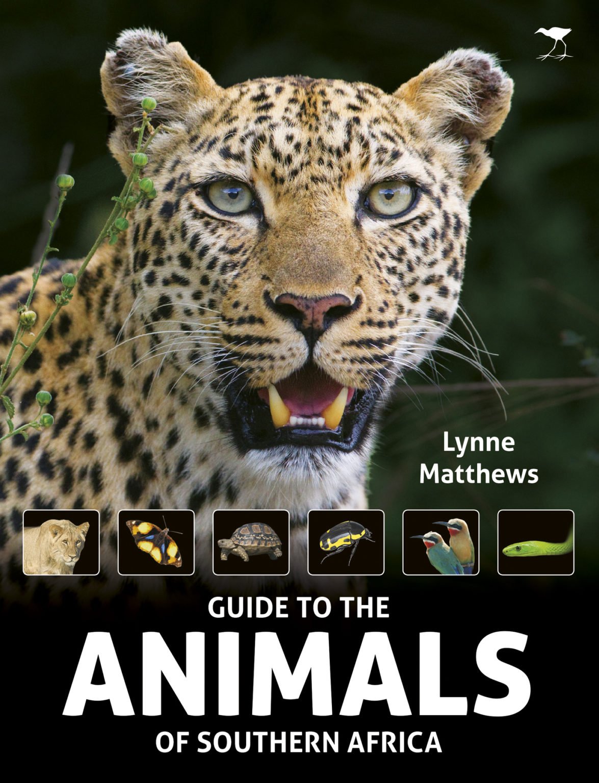 The Guide to the Animals of Southern Africa - Jacana