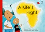 A Kite’s Flight
