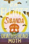 Sibanda and the Death Head Moth