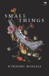 Small Things: A novel