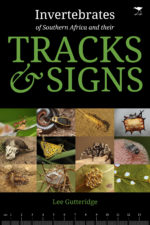 Invertebrates of Southern Africa and their Tracks & Signs