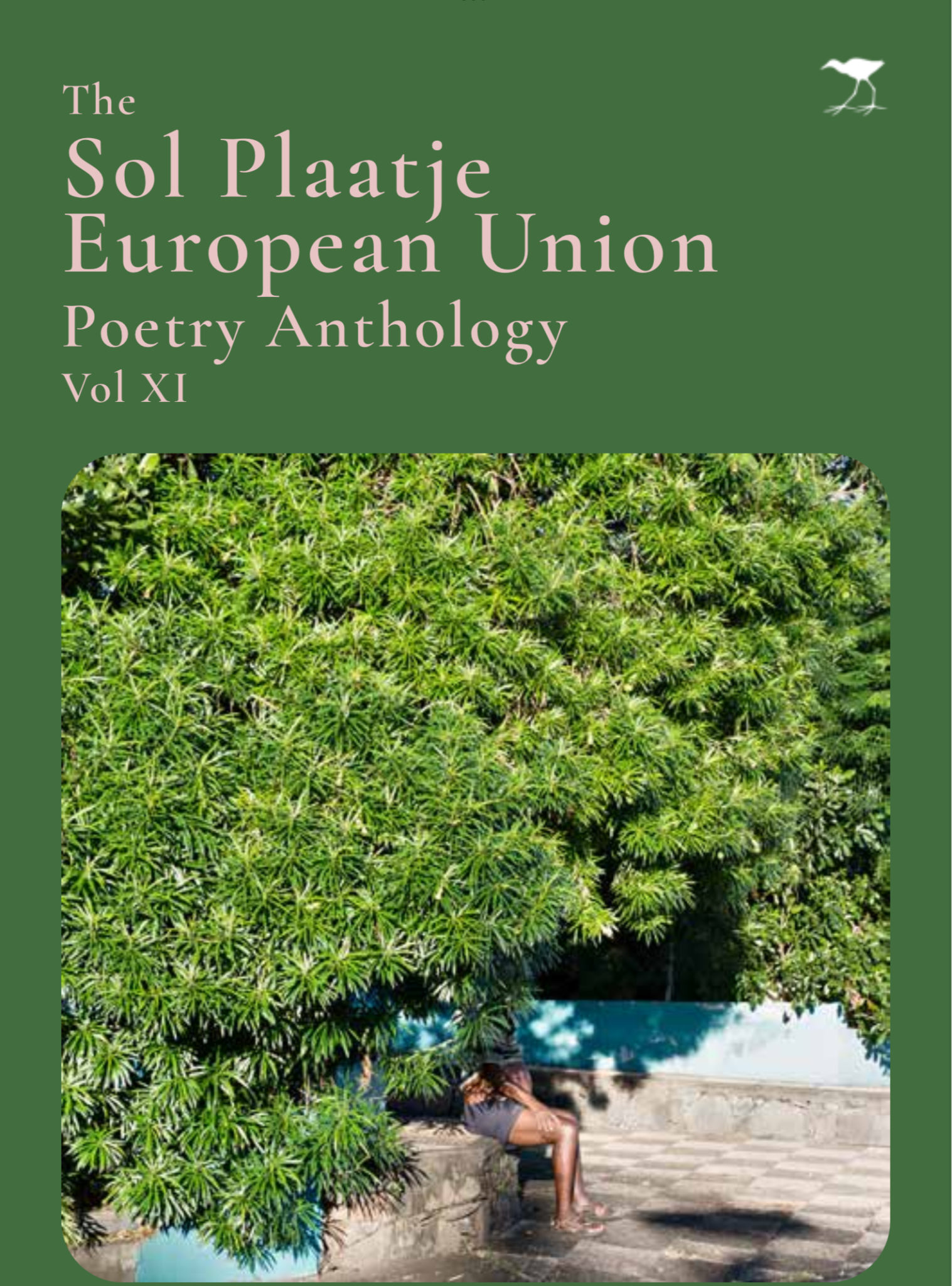 The Sol Plaatje European Union Poetry Anthology 2022 Jacana