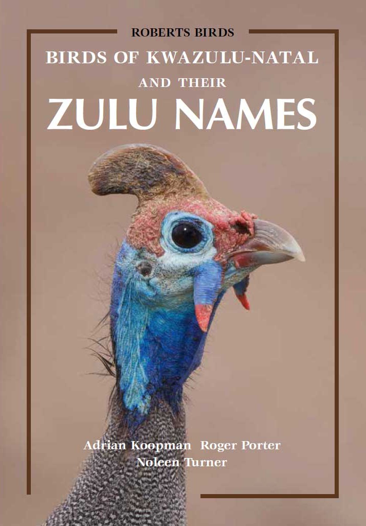 birds of kzn and their zulu names