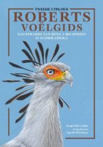 Roberts Voelgibs