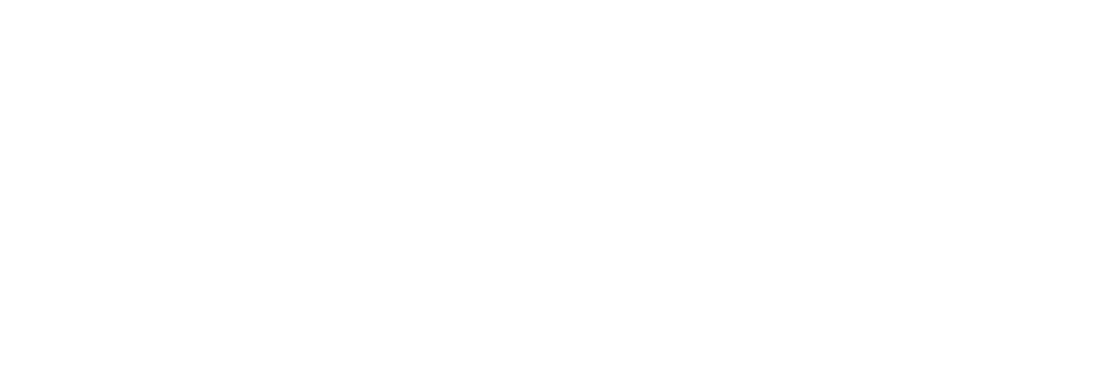 Jacana Literary Foundation_Logo_White
