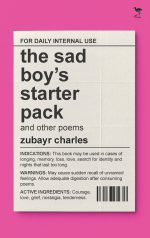 the sad boy's starter pack and other poems